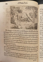 Charger l'image dans la galerie, Livre ANGELITA - I pomi d'oro