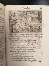 Charger l'image dans la galerie, Livre ANGELITA - I pomi d'oro