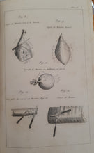 Charger l'image dans la galerie, Livre BERNARDI - L’Écuyer tranchant ou l’art de découper et servir à table