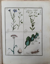Charger l'image dans la galerie, Livre VIGNEUX (A.) - Flore pittoresque des environs de Paris