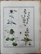 Charger l'image dans la galerie, Livre VIGNEUX (A.) - Flore pittoresque des environs de Paris