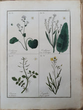 Charger l'image dans la galerie, Livre VIGNEUX (A.) - Flore pittoresque des environs de Paris