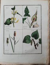 Charger l'image dans la galerie, Livre VIGNEUX (A.) - Flore pittoresque des environs de Paris