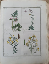 Charger l'image dans la galerie, Livre VIGNEUX (A.) - Flore pittoresque des environs de Paris