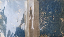 Charger l'image dans la galerie, Livre VIGNEUX (A.) - Flore pittoresque des environs de Paris