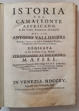 Charger l'image dans la galerie, Livre VALLISNIERI (Antonio) - Istoria del Camaleonte Affricano