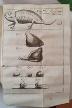 Charger l'image dans la galerie, Livre VALLISNIERI (Antonio) - Istoria del Camaleonte Affricano