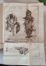 Charger l'image dans la galerie, Livre VALLISNIERI (Antonio) - Istoria del Camaleonte Affricano