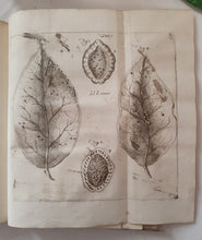 Charger l'image dans la galerie, Livre VALLISNIERI (Antonio) - Istoria del Camaleonte Affricano