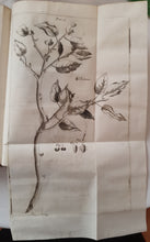 Charger l'image dans la galerie, Livre VALLISNIERI (Antonio) - Istoria del Camaleonte Affricano