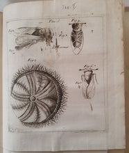 Charger l'image dans la galerie, Livre VALLISNIERI (Antonio) - Istoria del Camaleonte Affricano