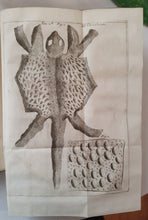 Charger l&#39;image dans la galerie, Livre VALLISNIERI (Antonio) - Istoria del Camaleonte Affricano
