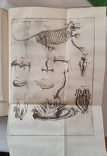 Charger l&#39;image dans la galerie, Livre VALLISNIERI (Antonio) - Istoria del Camaleonte Affricano

