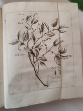 Charger l&#39;image dans la galerie, Livre VALLISNIERI (Antonio) - Istoria del Camaleonte Affricano
