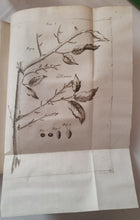 Charger l&#39;image dans la galerie, Livre VALLISNIERI (Antonio) - Istoria del Camaleonte Affricano

