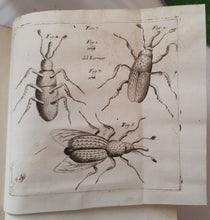 Charger l&#39;image dans la galerie, Livre VALLISNIERI (Antonio) - Istoria del Camaleonte Affricano
